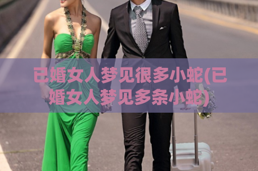 已婚女人梦见很多小蛇(已婚女人梦见多条小蛇)