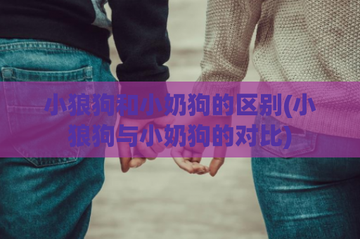 小狼狗和小奶狗的区别(小狼狗与小奶狗的对比)